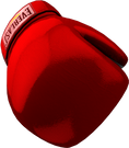 Red Everlast Boxing Gloves